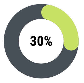 30% pie chart
